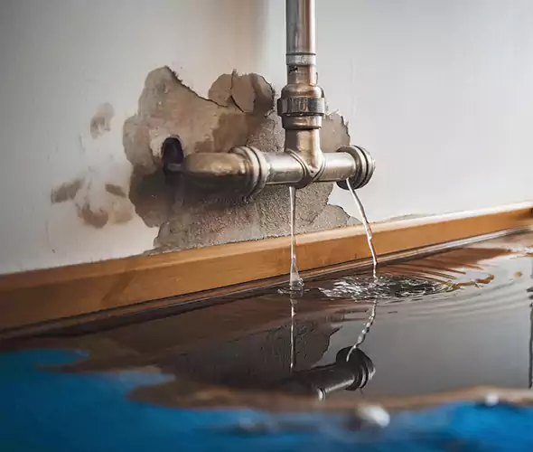 Professional Water Damage Restoration Experts in Ridgewood, NJ — Fast, Reliable & Certified