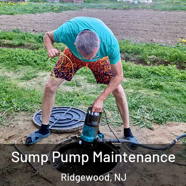  Sump Pump Maintenance Ridgewood, NJ