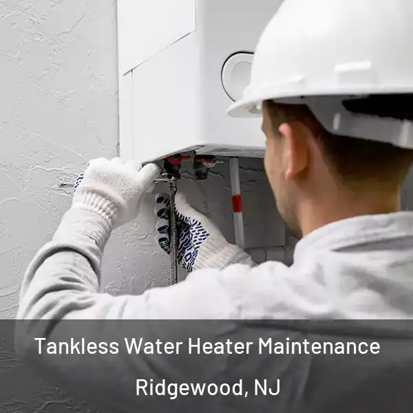  Tankless Water Heater Maintenance Ridgewood, NJ