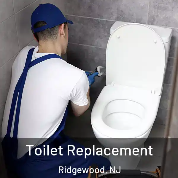  Toilet Replacement Ridgewood, NJ