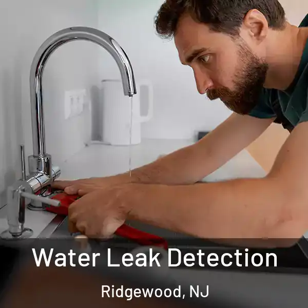  Water Leak Detection Ridgewood, NJ